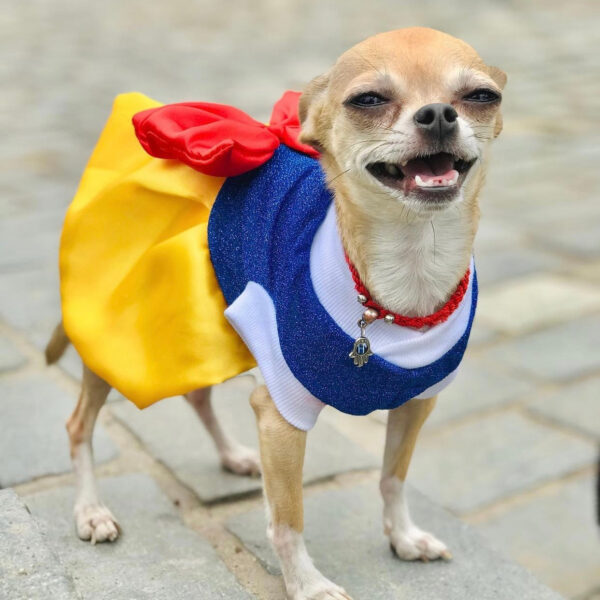 Snow White Pets Costume
